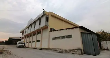 Commercial property 1 450 m² in Neochorouda, Greece