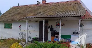 House in Rakitnicki sielski Saviet, Belarus