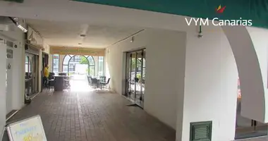 Apartment in Adeje, Spain