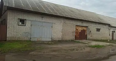 Manufacture 212 m² in Mahilyow, Belarus