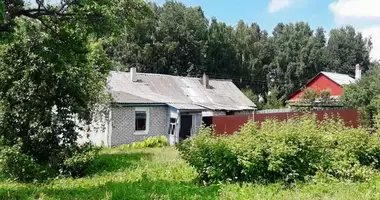 House in cudzienicy, Belarus