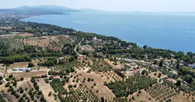 Plot of land in Nikiti, Greece