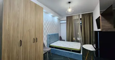 Studio Apartment is For Rent in Tbilisi в Тбилиси, Грузия