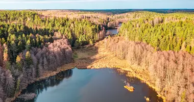 Grundstück in Zuklijai, Litauen