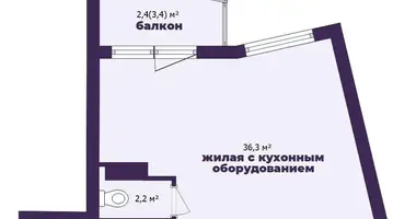 1 room apartment in Minsk, Belarus