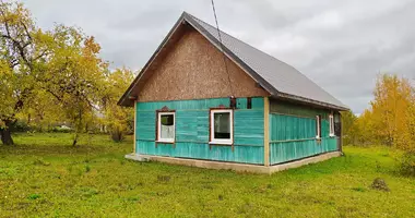 Dom w Lasanski sielski Saviet, Białoruś
