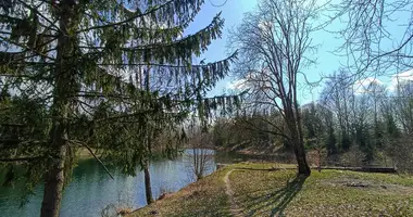 Дом в Негорельский сельский Совет, Беларусь