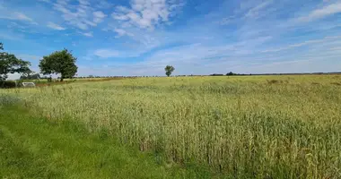 Plot of land in Maniewo, Poland