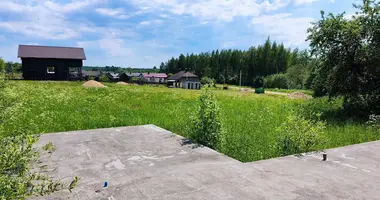 Plot of land in Ivianiecki sielski Saviet, Belarus