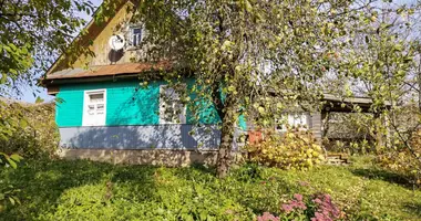 House in Slabada, Belarus