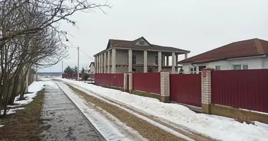 Haus in Babinicki sielski Saviet, Weißrussland