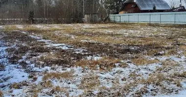 Plot of land in Luhavaslabadski sielski Saviet, Belarus