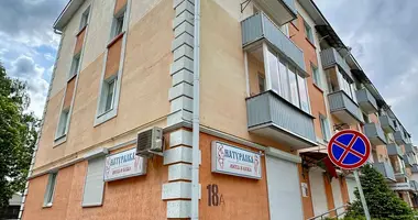 2 room apartment in Baranavichy, Belarus
