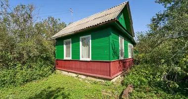 Дом в Колодищанский сельский Совет, Беларусь