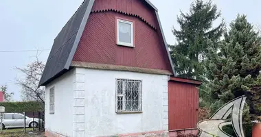 Maison dans Kamianica Zyravieckaja, Biélorussie