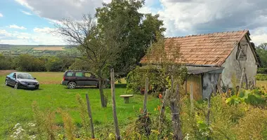 House in Szentgyoergyvar, Hungary