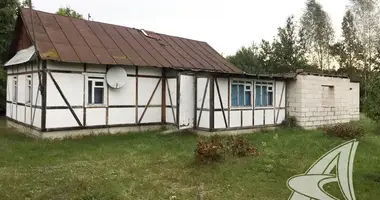 Haus in Radvanicki sielski Saviet, Belarus