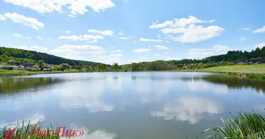 Casa en Hajnienski siel ski Saviet, Bielorrusia