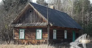 Haus in Recycki sielski Saviet, Weißrussland
