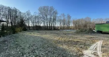 Plot of land in Rakitnicki sielski Saviet, Belarus