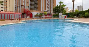 Apartamento 3 habitaciones en Benidorm, España