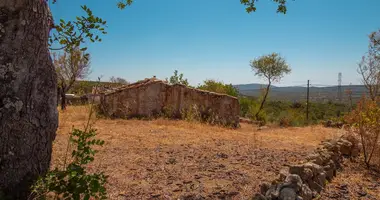 Terrain dans Portugal