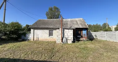 House in Barysaw, Belarus