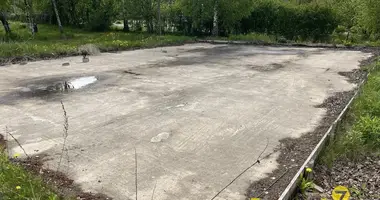 Участок земли в Олехновичи, Беларусь
