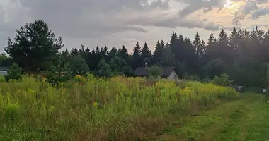 Plot of land in Usiazski sielski Saviet, Belarus