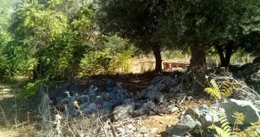 Plot of land in Vlichada, Greece