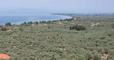 Plot of land in Skala Sotiros, Greece