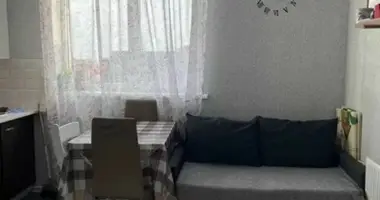 1 room apartment in Lymanka, Ukraine