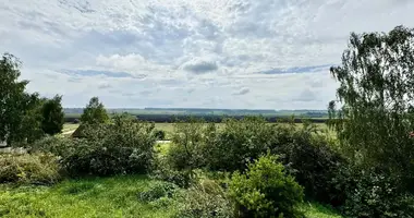 Plot of land in Aziaryckaslabadski sielski Saviet, Belarus