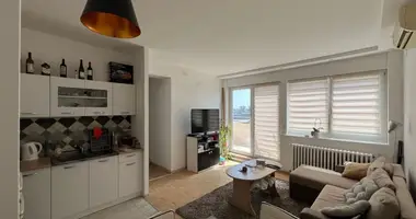 2 room apartment in Belgrade, Serbia