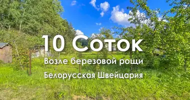 Дом в Логойский сельский Совет, Беларусь