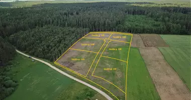 Plot of land in Kijuvka, Lithuania