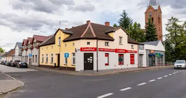 Apartment in Zaniemysl, Poland