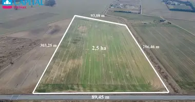 Plot of land in Rokeliai, Lithuania