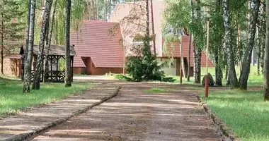 Gewerbefläche 375 m² in Giluiciai, Litauen