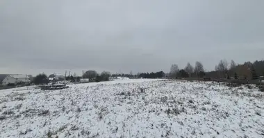 Terrain dans Jzufouski siel ski Saviet, Biélorussie