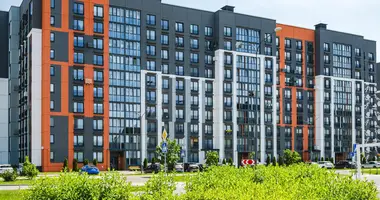 Квартира 1 комната в Копище, Беларусь