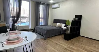 1 bedroom apartment in Kyiv, Ukraine
