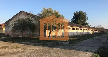 Entrepôt 3 230 m² dans Bashkia Durres, Albanie