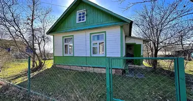 House in Zabalocki selski Savet, Belarus