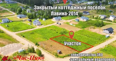 Участок земли в Заболотский сельский Совет, Беларусь