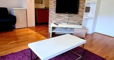 Apartamento 1 habitacion en Podgorica, Montenegro