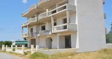 Propriété commerciale 270 m² dans Fylla, Grèce