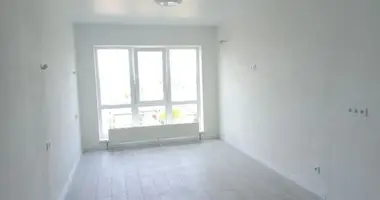 1 room apartment in Ilichanka, Ukraine