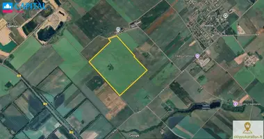 Plot of land in Dauksiai, Lithuania
