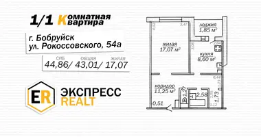 1 room apartment in Babruysk, Belarus